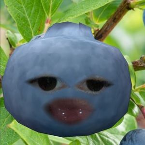 Meet your Posher, Manuela